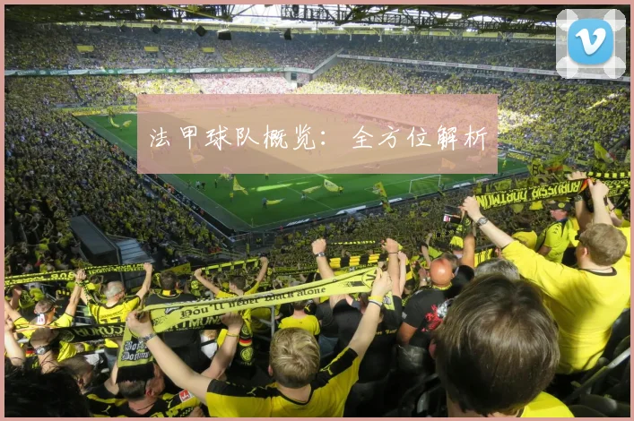 法甲球队概览：全方位解析