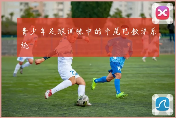 青少年足球训练中的牛尾巴教学系统