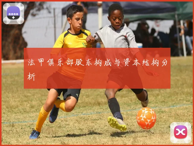 法甲俱乐部股东构成与资本结构分析