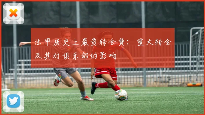 法甲历史上最贵转会费：重大转会及其对俱乐部的影响